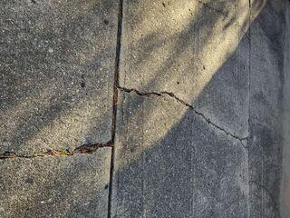 Cracked Driveway in Crittenden, KY