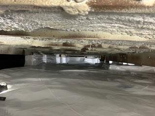 Crawl Space