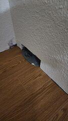 Basement Flooring in Anchorage, AK