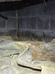 Crawl Space During Inspection