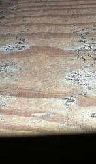 More Mold Issues