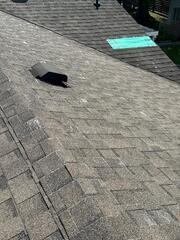 IKO Dynasty Asphalt | Rood Replacement Klaus Roofing
