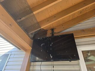 TV Covered in Sparrow Poop