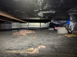 Evidence of Rodent and Water Intrusion