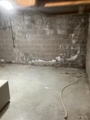 Basement before