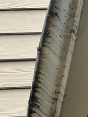 Gutter damage