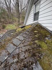 Moss Covered Shingles