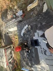 Vents & Shingles