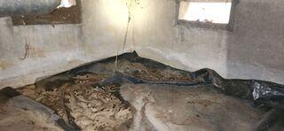 Addressing Standing Water in the Crawl Space - Lake Oswego, OR