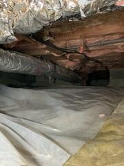Typical Crawl Space