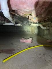 Crawl Space Vapor Barrier in Westfield, NJ