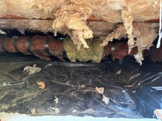 Crawl Space Encapsulation - Camano Island, WA
