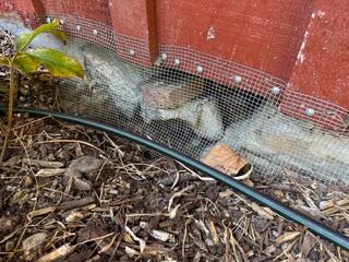 Repair and Waterproofing of Foundation Wall In Wet Climate - Greenbank, WA