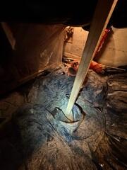 Budget-Friendly Crawl Space Waterproofing - Mount Vernon, WA
