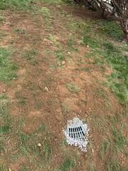 LawnScape