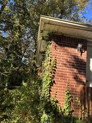 Mising downspout