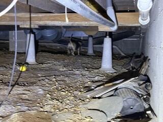 Crawl Space Debris