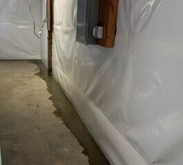 WaterGuard Drainage System