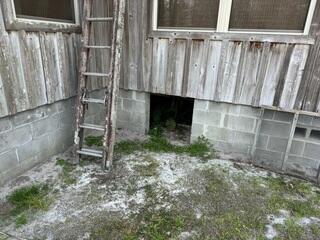 Wide Open Access to the Crawl Space