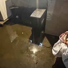 Large Puddles Starting To Form