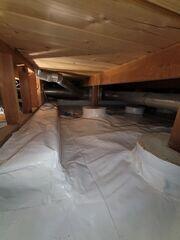 The CleanSpace Solution