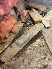 Dirty, Moldy Crawl Space