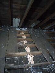 Attic Air Sealed