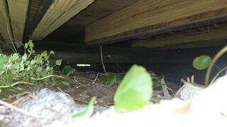 An inspection by the LRE Design Specialist revealed a lack of stable support for the floor joists above.