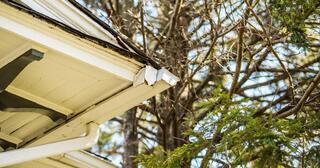 Old Gutters