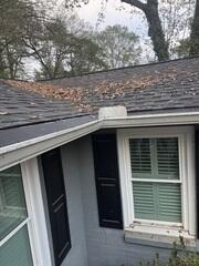 Gutter Guards installed