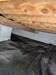 Mold Remediation in Calvert City, KY
