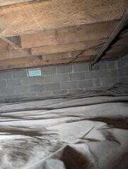 Mold Destruction