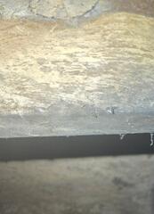 Mold on Wood Floor Joists
