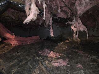 Crawl Space Before
