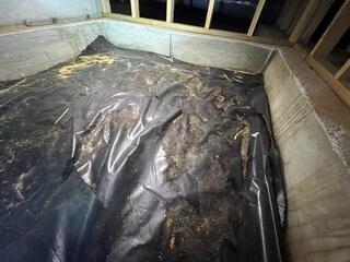 Dirty, Nasty Crawl Space