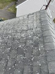 Shingles Past Their Prime