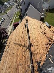 Stripped Roof