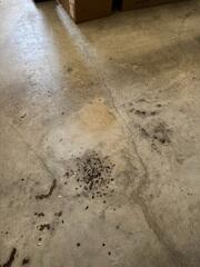 Concrete Garage Floor Cracks