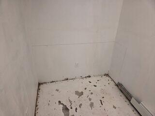 Wet, peeling basement