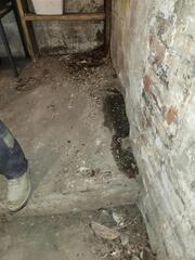 From Wet Basement to TripleSafe Protected in Pittsburgh, PA