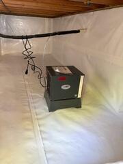Dehumidifier
