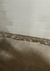Trench Dug