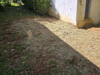 After Repairs