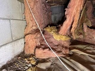 Fiberglass Insulation in a Crawl Space: No Go!