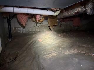 Fiberglass Falling from the Floor Joists