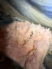 Fiberglass Insulation
