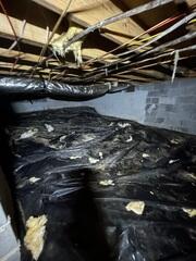 Crawl Space During Inspection