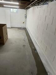 Basement Waterproofing Solution in Milltown, NJ