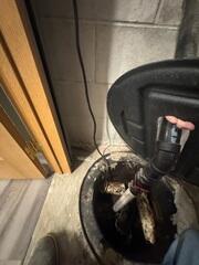 Previous Sump Pump System