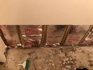 Wet Basement